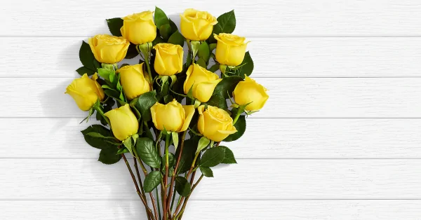 Long Stem Yellow Roses - SendFlowers.pk