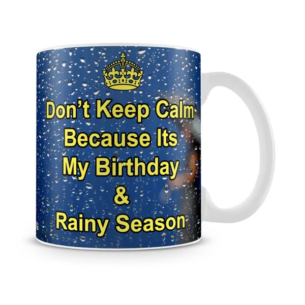 Birthday & Rainy Seasons Mug White - SendFlowers.pk