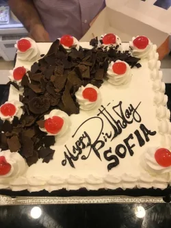 Chocolate Fudge Cake 4LBS - SendFlowers.pk
