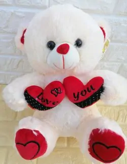 Precious Teddy Bear - SendFlowers.PK