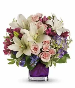 Amour Vine - SendFlowers.pk