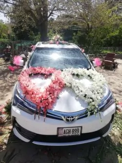 Online Car Decor Shop - SendFlowers.pk