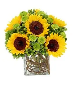 Happy Mother's Day Sunflower