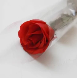 Delivery of Rose of Love for Dad on Father's Day