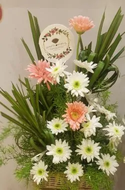 Delivery of Love of My Life in Pakistan