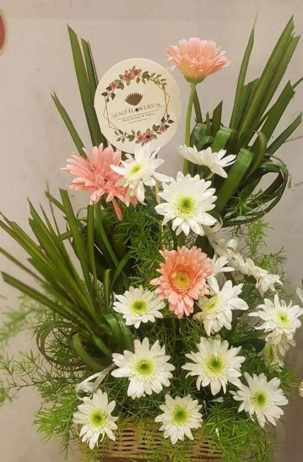 Delivery of Love of My Life in Pakistan