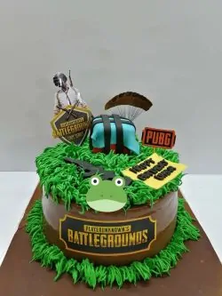 Delivery of PUBG Lover Cake in Pakistan