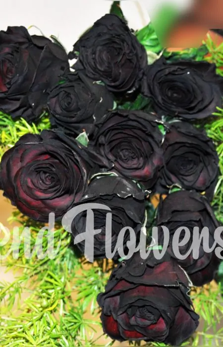 online black rose delivery