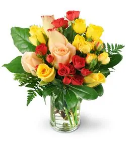 Delivery of Colourful Love Roses in Pakistan