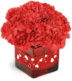 Delivery of Box of Pure Love in Pakistan