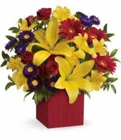 Delivery of Box of Energetic Colors in Pakistan