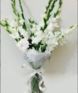 Online Flower Shop - SendFlowers.pk