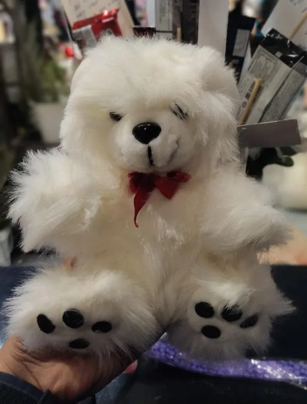 Fluffy Elegant small teddy