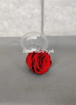 Love Rose Preserved Rose Lahore - SendFlowers.pk