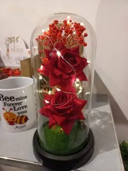 Glass Dome Rose - Flask Rose