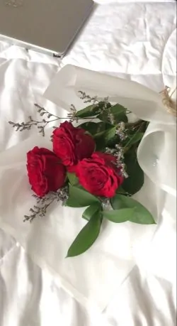 Blossom Red Rose - Sendflowers.pk