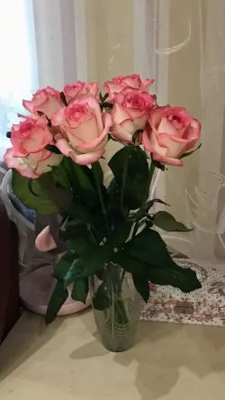 Bunch of Pink Roses - Sendflowers.pk