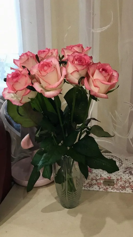 Bunch of Pink Roses - Sendflowers.pk