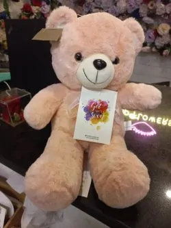 Get Well Soon My Teddy