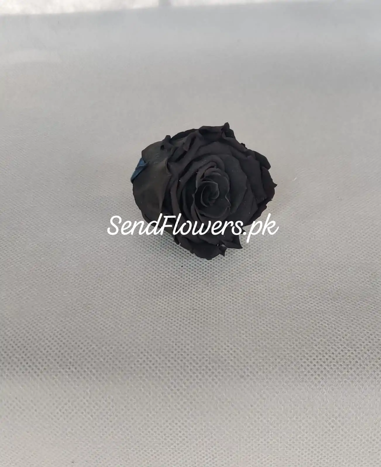 Black Preserved Rose - SendFlowers.pk