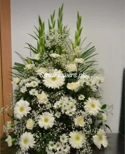 I am Sorry Flowers Lahore - SendFlowers.pk